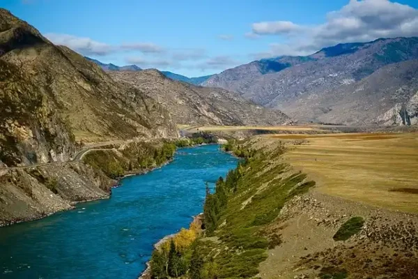 And Dağlarında Yetişen Muhteşem Peru Cajamarca Kahvesi